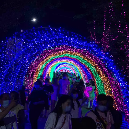 Large LED Tunnel Decoration Light 3D Arch Lighting Festival String Light