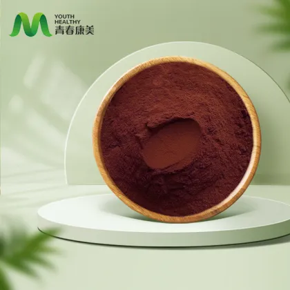 Salvia Miltiorrhiza Extract Powder for Liver Support