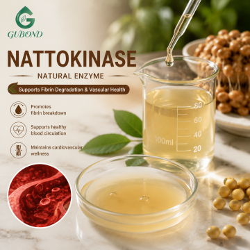 مسحوق إنزيم Nattokinase لتركيبات مكملات صحة القلب والأوعية الدموية