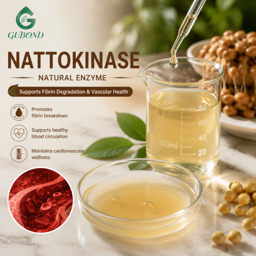 Polvo de enzima nattoquinasa para formulaciones de suplementos de salud cardiovascular
