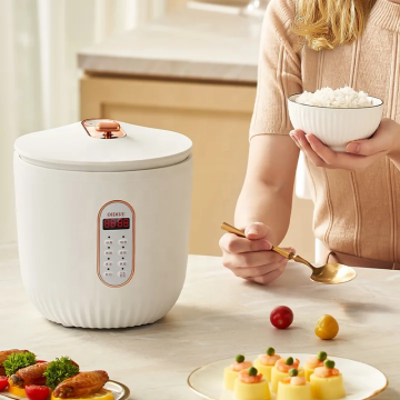 OIDIRE Factory Wholesale Electric Pressure Cooker Rice Cooker