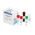 Omicron PCR Test Reagent Kit