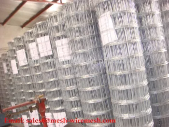 SS304 Stainless Steel Welded Wire Mesh