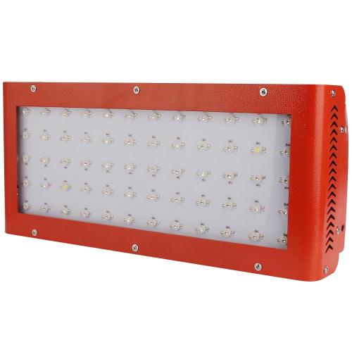 100 W LED hortícola planta planta fábrica verde