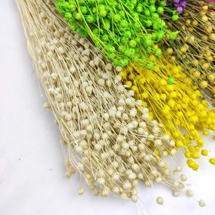 Dried Flowers and Botanicals: Acacia Beans, Hypericum Berries, and Natural Flax Bunch