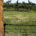 Fixed Knot Woven Wire Fence Fabric
