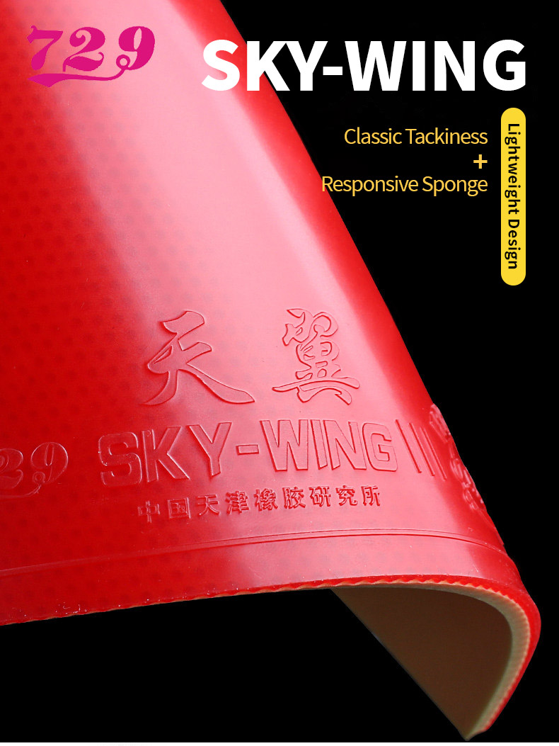sky-wing detail 1
