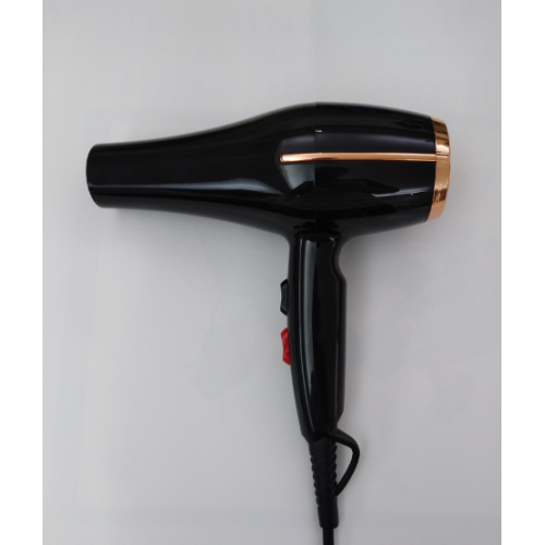 Beauty Salon Equipment Professional Ionic Hair Dryer