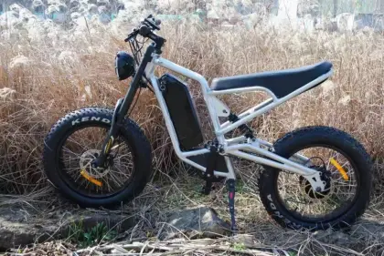 1000w lithium battery off road electric bicycle