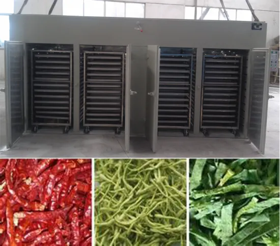 Multifuncation Commercial Dehydrator Machine