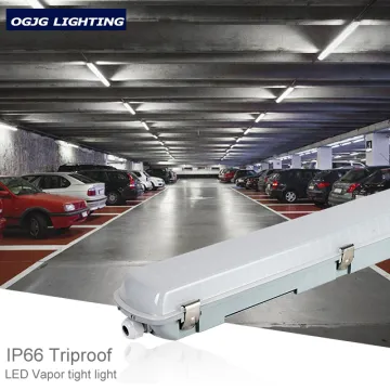 High-Quality IP65 Batten LED Tri-Proof Garage Lighting - 600mm 20W Waterproof Light