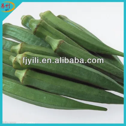 Supply frozen okra from Chinese supplier