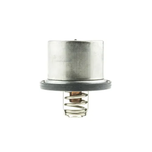 Heavy Duty Thermostat