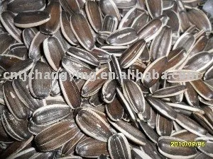 sunflower seeds raw