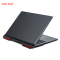 Customized high performance professional gaming notebook