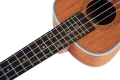 Tayste τέσσερα νάιλον string sets sapele tenor ukulele