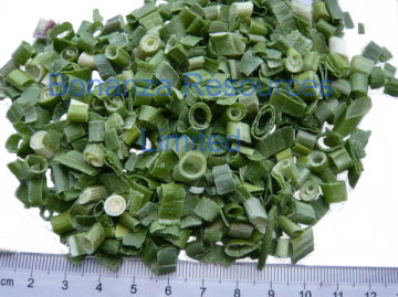 Freeze Dried Green Onion