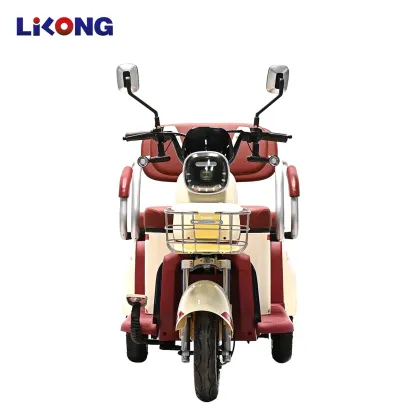 Family Leisure Electric Tricycle