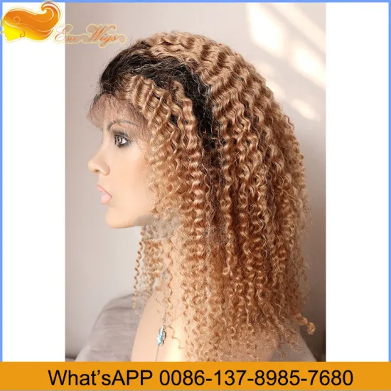 Wholesale Factory Price Color Wigs 8-24Inch In Stock