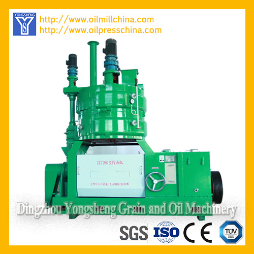 Large Automatic Peanut/Groundnut Oil Pressing Equipment