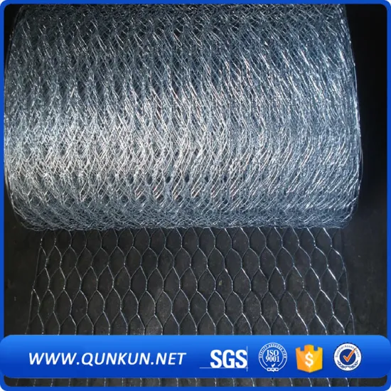 Galvanized Poultry Hexagonal Wire Mesh