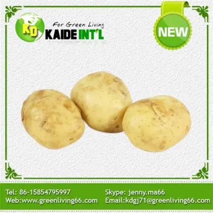 Palatable Cheap Fresh Potatoes