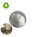 Organic Grade White Birch SAP Juice Extract Powder