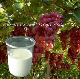 HOT SELL fungicide Chlorothalonil 500g/L SC