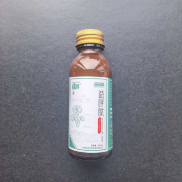 Úlcera Oral em Animais de Estimação por Auxílio Respiratório