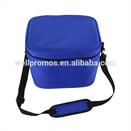 600D 300D Colorful Oxford whole foods cooler bag