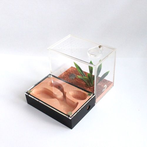Small Acrylic Ant Box Blackout Acrylic Cage