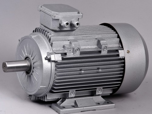 Yd Series Pole Changing Multi-Speed 3-Phase Electric Motor