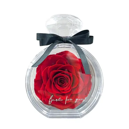 Eternal Roses Wholesale: Decorative Preserved Roses in Acrylic Bottles