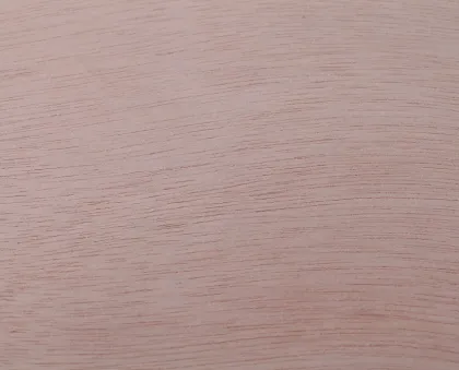 New Product 18mm flame retardant plywood