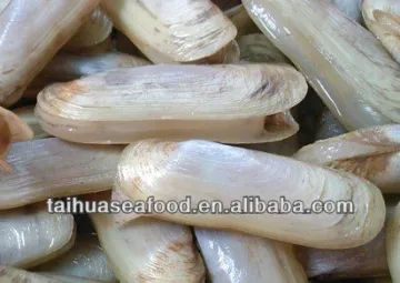 Frozen Cooked Razor Clam