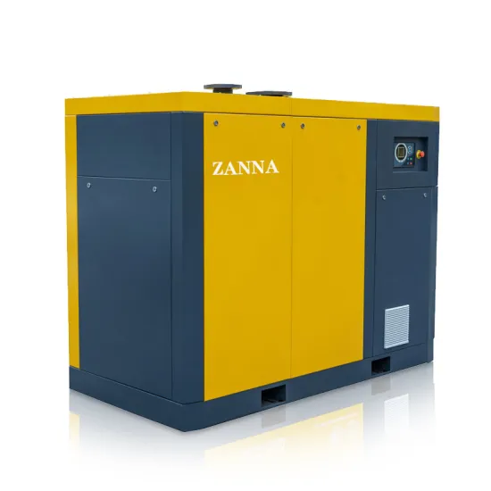 screw vacuum pump assembly