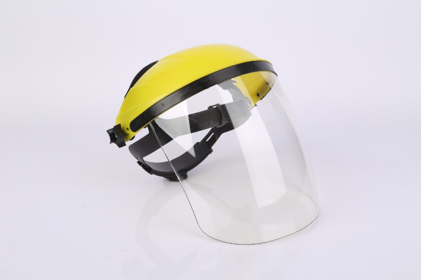 Face Shield with Head Mounted