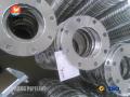 JIS B2220 SUS316L FLANGE BV MODE II