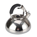 Stainless Steel Silver Mirror Polishing Tea Pot