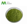 Chá verde de powder super orgânico