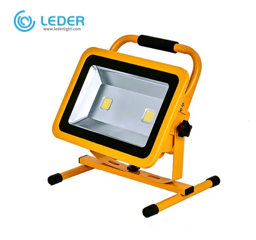 LEDER 100W Outdoor Flood Light Bulbs