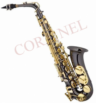 Alto Saxophone (AS100BK)