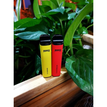 Rodeo Disposable vapeking 1000 puffs