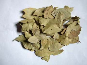 100G sortiertes Lorbeerblatt
