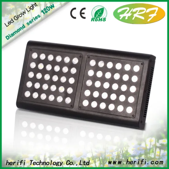 Indoor hydroponic Full spectrum LED Indoor grow lights