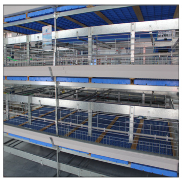 Poultry Farming Equipment H Type Broiler Battery Chicken Cage for Sale
