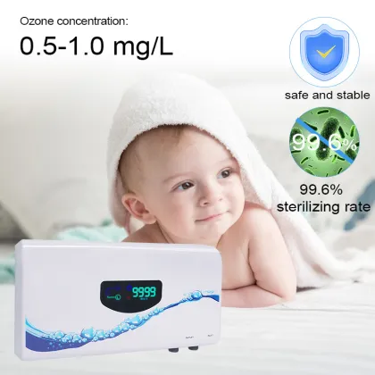 Comprehensive Commercial Solutions: Ozone Food, Fruit Sterilization Equipment, Machines, Water Purifiers