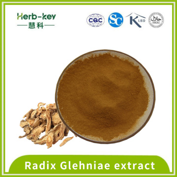 Водяной экстракт без остаточного Radix Extract glehniae 10: 1