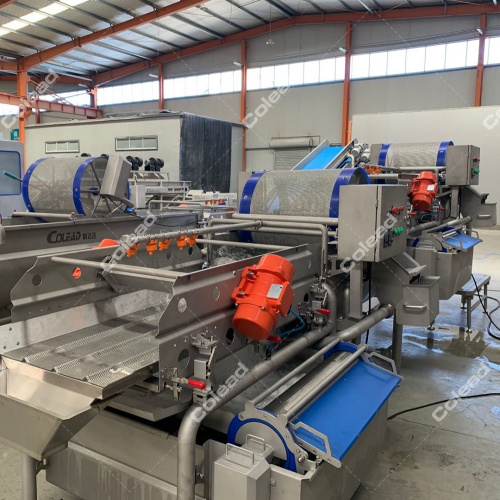 Leaf Vegetable processing machinery