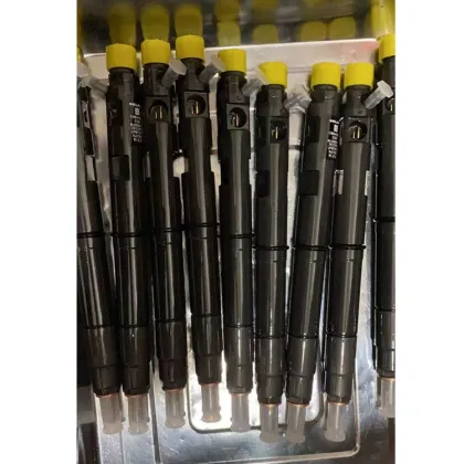 Delphi Diesel Fuel Injectors EJBR03501D for Tata Safari BS3 3.0L